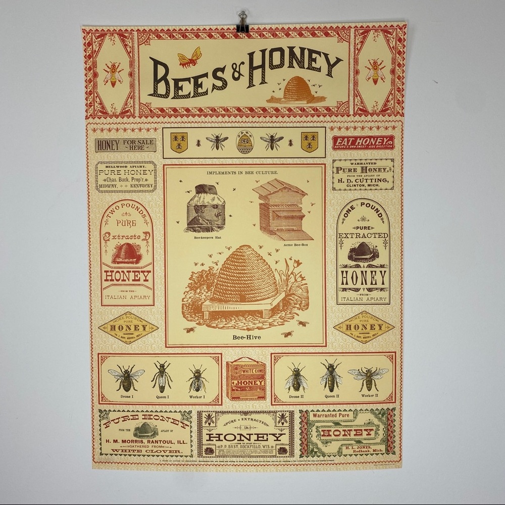 Cavallini Bees & Honey 20” x 28” Poster